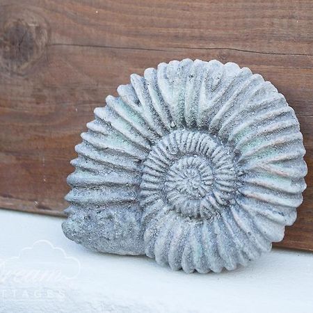 פורטלנד Ammonite Cottage מראה חיצוני תמונה