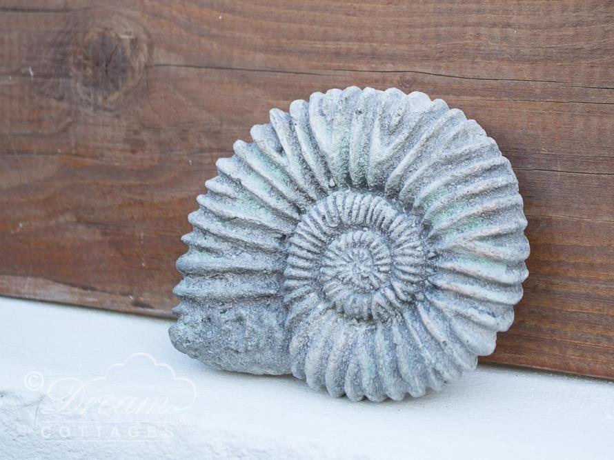 פורטלנד Ammonite Cottage מראה חיצוני תמונה
